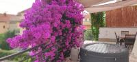 Zahrada ubytování Apartman Club Vodice
