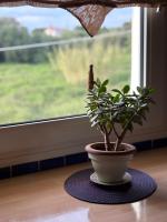 Plán poschodí v ubytovaní Villa Oneiropagida