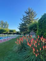 Vonkajšia záhrada v ubytovaní Hotel Valjunco