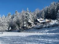 Holiday Home Tonkina kuća v zime