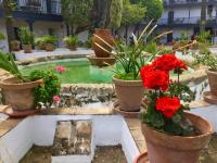 Vonkajšia záhrada v ubytovaní Andalusian Courtyard