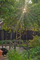 Ancient Huế Garden Housesにある庭