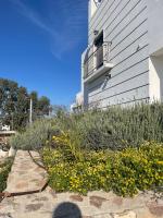 A garden outside Souvala /Aegina. Excellent location Luxury villa.