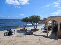 Un paisaje natural cerca del departamento