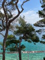 ゲストハウスの近くで見られる自然の景観