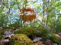 a tree house in the middle of a forest at Cabane Perchée Spa Dordogne La Ferme de Sirguet in Monsac