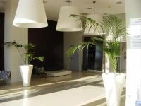 Apartamentos Europa House Sun Beach, Guardamar del Segura ...