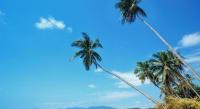 Baan Bophut Beach Hotelの見取り図または間取り図