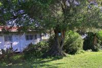 Zahrada ubytování Casa Rural La Zarzamora