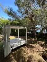 A garden outside Villa Lina