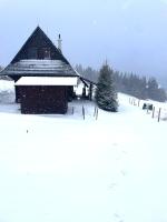 Chata Drevenica Orava during the winter
