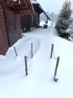 Chata Drevenica Orava during the winter