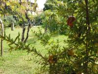 A garden outside Al Pic de Corone