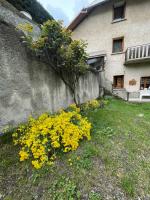 Ogród w obiekcie Maison 100m2 - 3 chambres