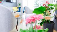 Posedenie v ubytovaní Hotel Rezydencja AS & Spa-Najwyżej w Karpaczu