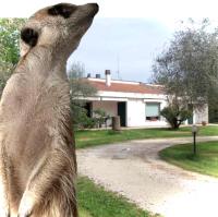 Zvieratá v penzióne alebo blízkom okolí