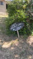 Vonkajšia záhrada v ubytovaní Camping individuel dans la maquis Corse
