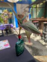 Gallery image of MrMaloy Hotel in Mirissa