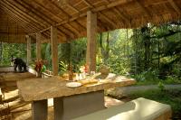 Сад в Amritara Shalimar Spice Garden Resort & Spa