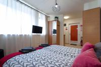 Televízia a/alebo spoločenská miestnosť v ubytovaní Lucsony Apartman