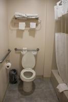 Sterling Inn near IAG Airportにあるバスルーム