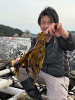 ヴィラの近くで見られる自然の景観