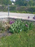 Vonkajšia záhrada v ubytovaní La Clematite d'Olt