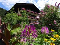 A garden outside Ferienwohnung Anemoon In Millstatt