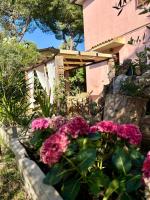 Vonkajšia záhrada v ubytovaní Agriturismo Porta al Colle