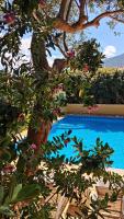 un árbol junto a una piscina azul en Hotel La Playa, en Cala Gonone