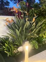 Vonkajšia záhrada v ubytovaní CASA VACACIONAL MÁLAGA 14 Chalet