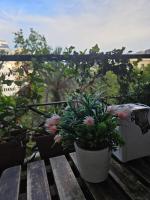 Balkón nebo terasa v ubytování Wow Hostel Barcelona