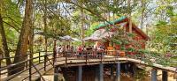 a group of people sitting on a wooden bridge at Longoza Ecolodge in Andasibe