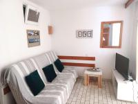Telewizja i/lub zestaw kina domowego w obiekcie Studio cabine cosy avec piscine, proche Aqualand et plage, parking disponible, terrasse privative - FR-1-607-159