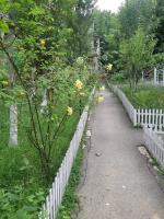 Vườn quanh Vələs Garden