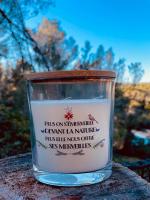 Plán poschodí v ubytovaní Avignon : Le Mas Cott, le paradis dans la nature