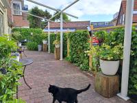 Hotel Het Gouden Boltjeにある庭