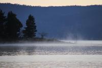 a misty body of water with a tree in the background at Acacia Snowy Motel in Jindabyne
