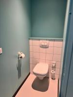 Łazienka w obiekcie ibis budget Nancy Laxou