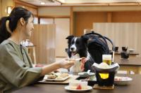 Uma mulher sentada à mesa com um cão a comer comida. em ゆるり奥日光withDOGS em Nikko