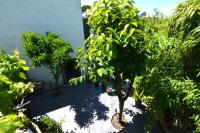Zahrada ubytování Apartament Gina a 3 kms d Lloret de mar