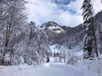 Lovely Chalet in Maria Alm with Terrace v zime