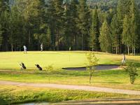 a couple of people and two dogs on a golf course at Original Sokos Hotel Vaakuna Rovaniemi in Rovaniemi