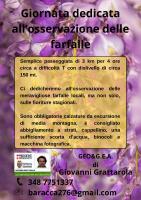 Plán poschodí v ubytovaní B&B Il Glicine Molare