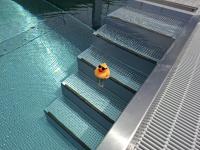 The swimming pool at or close to Weingut-Gästezimmer UHL