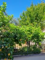 Vonkajšia záhrada v ubytovaní Apartments Margaretic