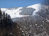 Widok na góry z tego domu w stylu alpejskim