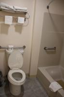 Sterling Inn near IAG Airportにあるバスルーム