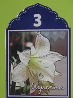 Plano de La Flor De Al-Andalus