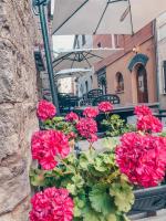 La Locanda Del Brolio في Cantiano: حفنة من الزهور الزهرية في صندوق النافذة